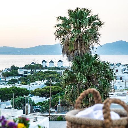 Aparthotel Dimele à Mykonos Town Extérieur photo